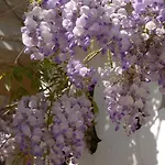 D'hotes Chateau De La Puisaye Bed & Breakfast 3*