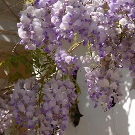 Chambres D'hotes Chateau De La Puisaye Bed & Breakfast 3*