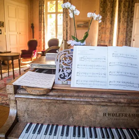 Chambres D'hotes Chateau De La Puisaye Bed & Breakfast